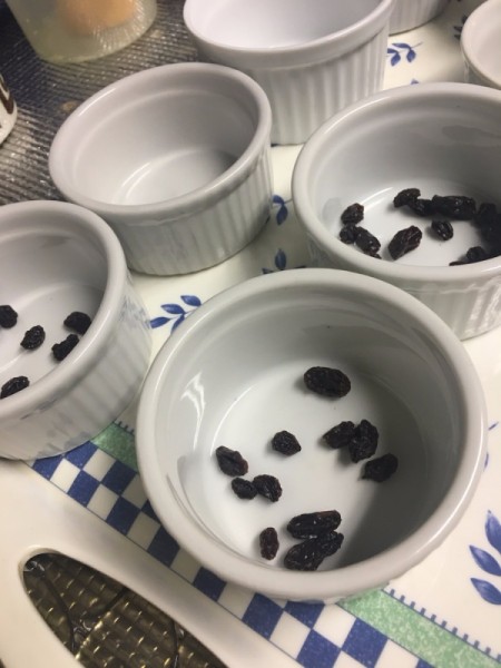 raisins in pudding cups
