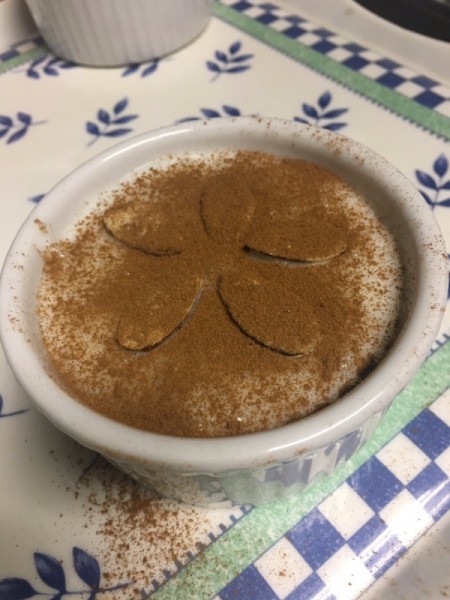 cinnamon sprinkled on Rice Pudding