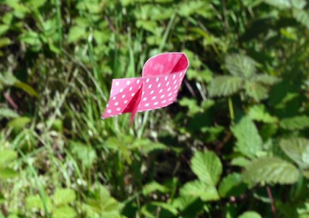 Fluttering Fish - drop to let it flutter to the ground or floor