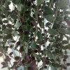 What Is This Houseplant? - hanging plant with green leaves with purple backs