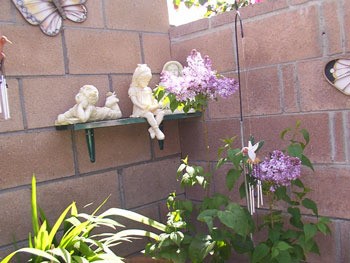 garden shelf