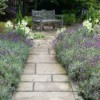 A stone garden path surrounded by lavender.