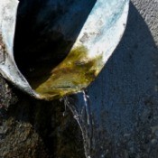 Water coming out of a storm drain.