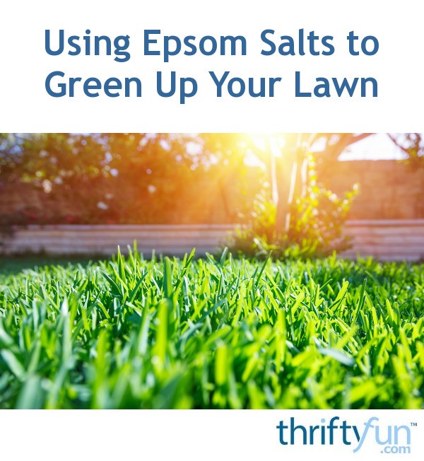 Using Epsom Salts to Green Up Your Lawn? ThriftyFun