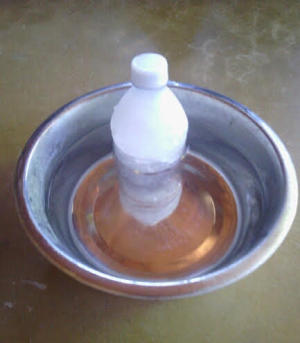 A frozen water bottle in a pet's water bowl.