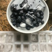 Blueberries being washed in ice water.