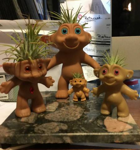 Air Plant Trolls - trolls with plants added