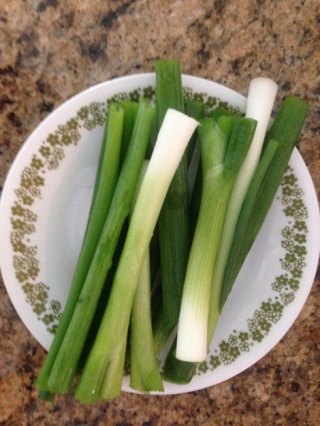 green onions on plate