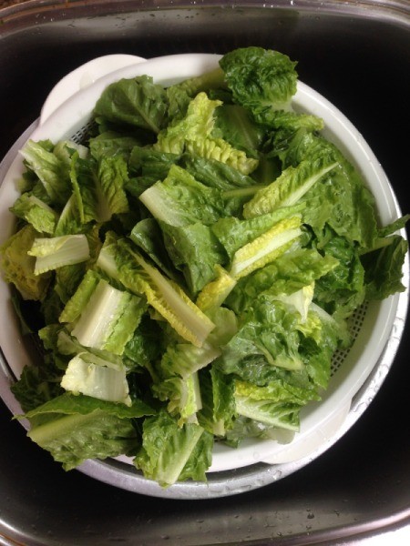 cut lettuce in a bowl