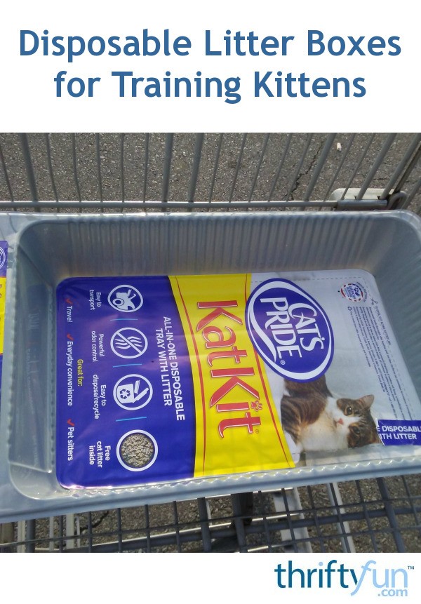 Disposable Litter Boxes For Training Kittens ThriftyFun disposable-litter-boxes-for-training-kittens-thriftyfun