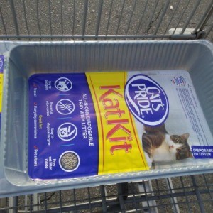 Disposable Litter Boxes for Training Kittens - litter box in grocery cart