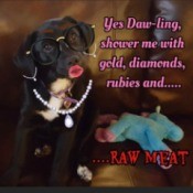 What Is My Lab Mixed With?