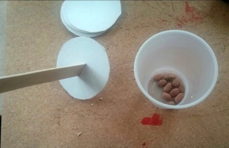 Handmade Maracas for Children - add beans to cup