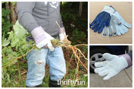 Homemade Blackberry Pulling Gloves