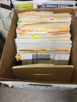 A box of files in manila folders.
