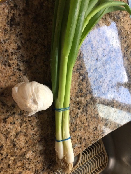 green onions and garlic