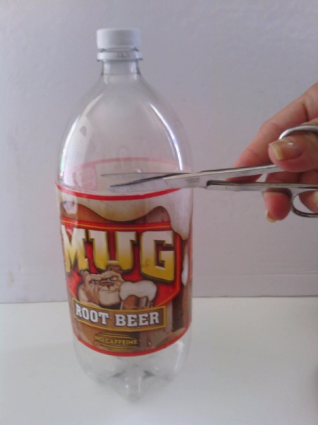 A plastic 2 liter soda bottle being cut into a funnel.