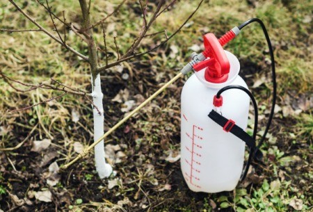 Fertilizer sprayer next to Tree