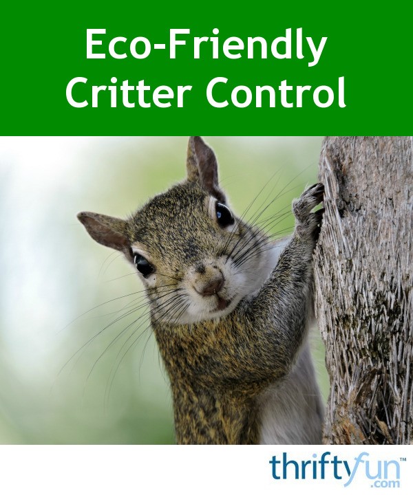 eco-friendly-critter-control-thriftyfun