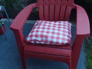 Thrifty Patio Chair Pillows - checkerboard cushion on red plastic patio chair