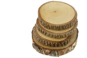 Stacked Log Slices
