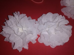 Paper Pom Poms - several white poms