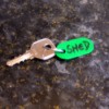 A key with a green plastic fob that says "SHED".