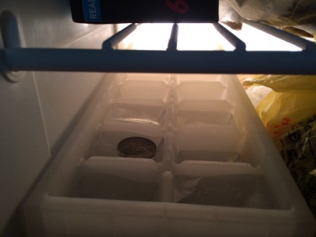 A coin in an ice cube tray inside a freezer.