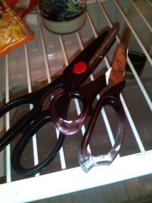 Two pairs of scissors stored inside a refrigerator.