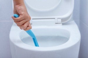 Cleaning Toilet Bowl