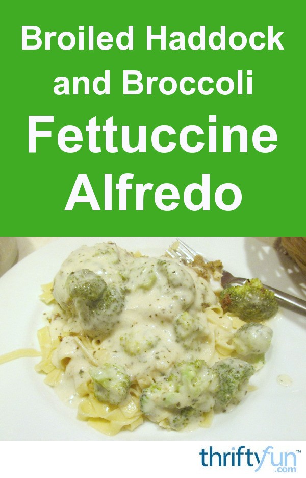 Broiled Haddock over Broccoli Alfredo Fettuccine ThriftyFun