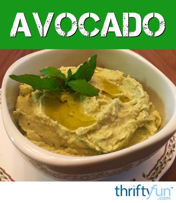 Avocado Hummus Recipe ThriftyFun