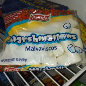 A bag of marshmallows stored in the freezer to be used as an ice pack.