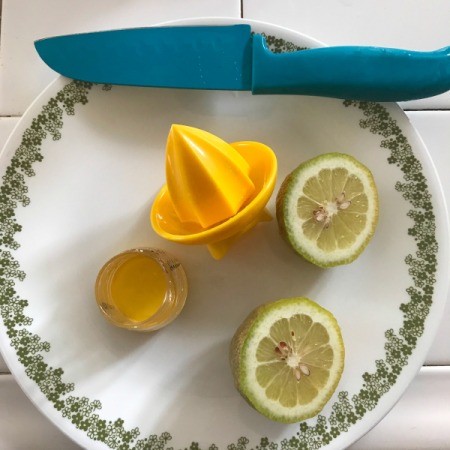 A lemon and two pieces of a lemon juicer.