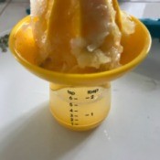 A lemon juicer that has just been used.