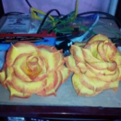 Rubber Foam Roses