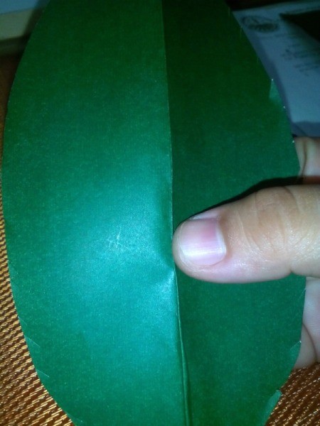 Folded Paper Leaf - press center fold to empathize the vein