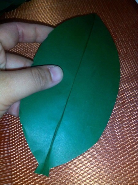 Folded Paper Leaf - view of the center line vein