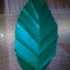 Folded Paper Leaf - leaf with side veins