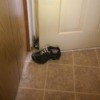 A pair of shoes bracing a door open.