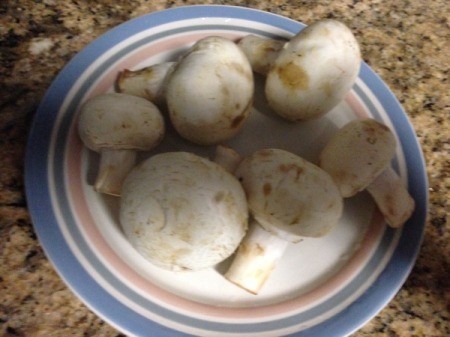 mushrooms on plate