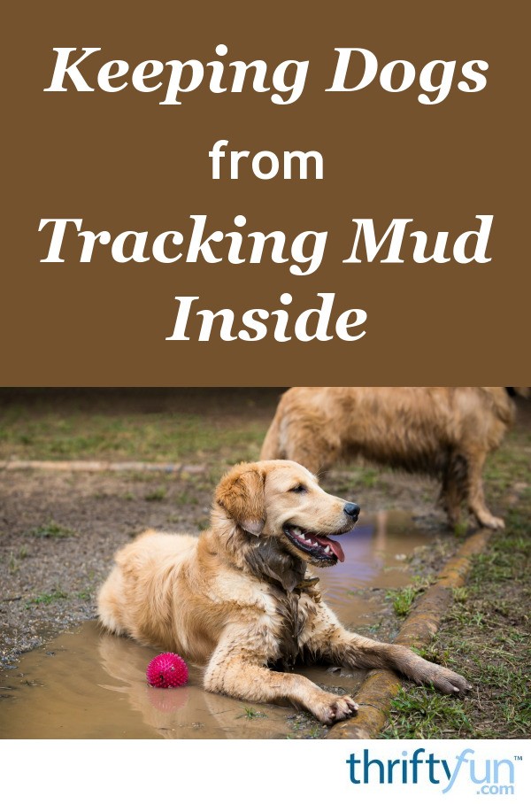 Keeping Dogs from Tracking Mud Inside? ThriftyFun