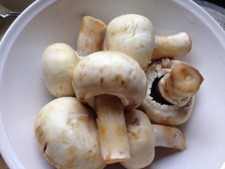 mushrooms