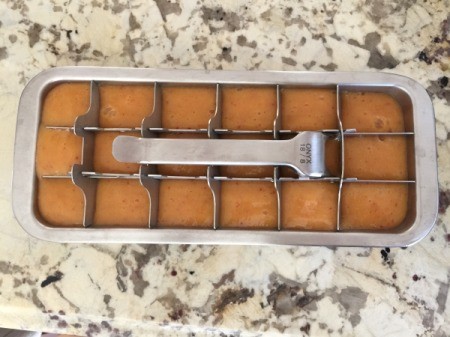 blended peaches in ice tray