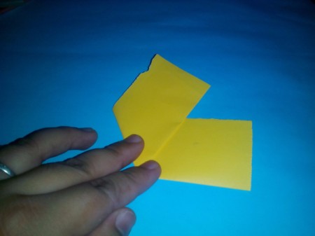 Layered Paper Flowers - fold diagonally