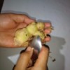 Peeling a ginger root with a spoon.