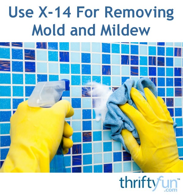 Use X14 For Removing Mold and Mildew ThriftyFun