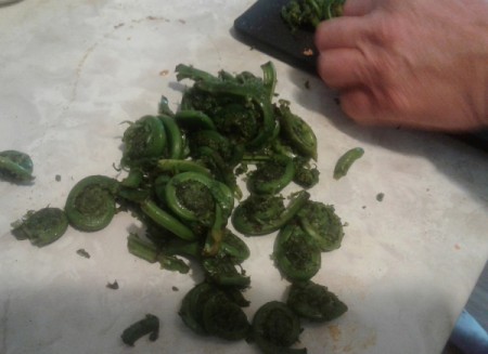 cutting ends off Fiddleheads