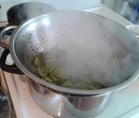 Steamed Fiddleheads on stove