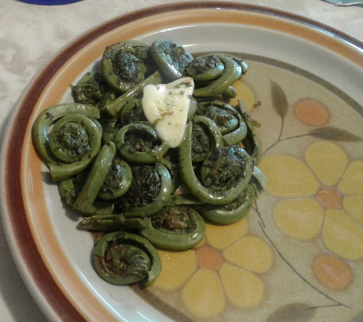 steamed-fiddleheads-recipe-thriftyfun